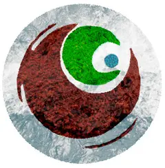 COMPAGNIE A VUE DE NEZ